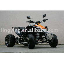 EEC ATV que compite con (203E-9 carretera Madmax)